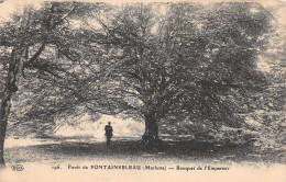 77-FONTAINEBLEAU-N°4232-D/0169 - Fontainebleau