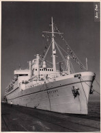 PAQUEBOT MS BATORY LORS D'UNE CROISIERE EN URSS EN 1955 GRANDE PHOTO ORIGINALE 24 X 18 CM - Schiffe