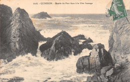 56-QUIBERON-N°T5203-D/0277 - Quiberon