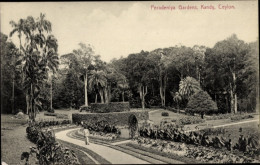 CPA Peradeniya Sri Lanka, Botanischer Garten - Sri Lanka (Ceylon)