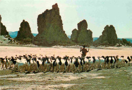 Djibouti - Lac Abbé - Chèvres Et Berger - CPM - Voir Scans Recto-Verso - Djibouti