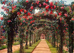 94 - L'Hay Les Roses - La Roseraie - Fleurs - Voir Timbre - CPM - Voir Scans Recto-Verso - L'Hay Les Roses