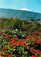 Canaries - Tenerife - Flores Con Teide Al Fondo - CPM - Voir Scans Recto-Verso - Tenerife
