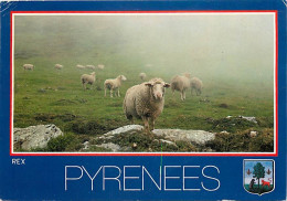 Animaux - Moutons - Pyrénées - Les Moutons Dans La Montagne - Blasons - CPM - Voir Scans Recto-Verso - Autres & Non Classés