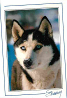 Animaux - Chiens - Husky - CPM - Voir Scans Recto-Verso - Hunde