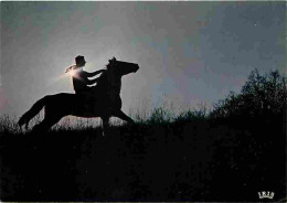 Animaux - Chevaux - Chevauchée Solitaire - Coucher De Soleil - Voir Scans Recto Verso  - Horses