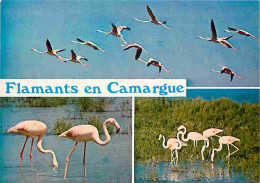 Animaux - Oiseaux - Flamants Roses - En Camargue - CPM - Voir Scans Recto-Verso - Oiseaux