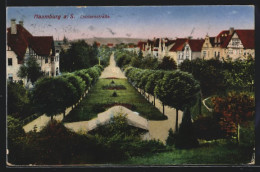 AK Naumburg A. S., Blick In Die Louisenstrasse  - Naumburg (Saale)