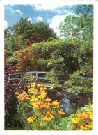 27 - Giverny - Musée Claude Monet - Le Jardin D'eau - Le Pont Japonais - CPM - Voir Scans Recto-Verso - Autres & Non Classés