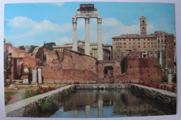 ITALIE - LAZIO - ROMA - Foro Romano - Laghetto Nella Casa Delle Vestali - Altri Monumenti, Edifici