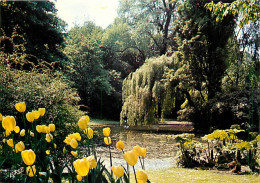 59 - Lille - Le Jardin Vauban - CPM - Voir Scans Recto-Verso - Lille