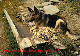 Chiens - CPM - Voir Scans Recto-Verso - Hunde