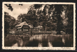 AK Berlin, Café-Restaurant Neuer See Im Tiergarten Mit Bootsstation  - Dierentuin