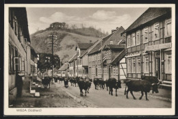 AK Wieda /Südharz, Strassenpartie Mit Hotel Stadt Braunschweig Und Kuhherde  - Braunschweig