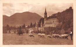 65-LOURDES-N°4233-D/0313 - Lourdes