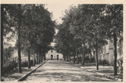 NOYERS Sur SEREIN  Avenue De La Gare - Noyers Sur Serein