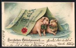 AK Glücksschweine Sitzen In Einem Zelt Aus Einem Geldschein, Glückwunsch Zum Geburtstag  - Monete (rappresentazioni)