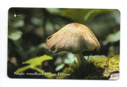 Champignon Mushroom  Télécarte Jersey Phonecard  (W 729) - Jersey En Guernsey