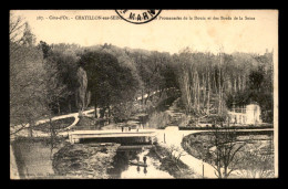 21 - CHATILLON-SUR-SEINE - PROMENADES DE LA DOUIX ET LES BORDS DE LA SEINE - Chatillon Sur Seine