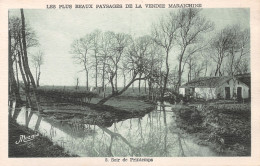 85-LA VENDEE PAYSAGE -N°4234-A/0263 - Autres & Non Classés