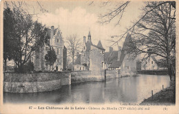 41-CHATEAU DU MOULIN-N°T5204-F/0119 - Other & Unclassified