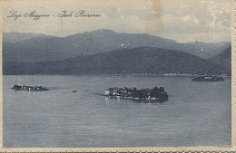 X112351 PIEMONTE VERBANIA CUSIO OSSOLA LAGO MAGGIORE ISOLE BORROMEE SALUTI DAL LAGO MAGGIORE - Verbania