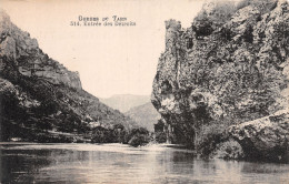48-LES GORGES DU TARN-N°4234-F/0133 - Other & Unclassified