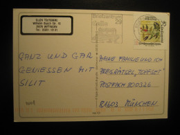 CELLE 2001 To Munchen Cancel Postcard GERMANY - Covers & Documents