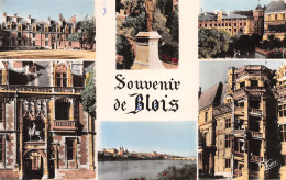 41-BLOIS-N°4234-H/0359 - Blois