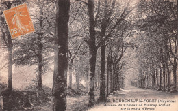 53-BOURGNEUF LA FORET-N°4234-H/0075 - Andere & Zonder Classificatie