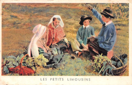 87-LES PETITS LIMOUSINS-N°4236-D/0261 - Andere & Zonder Classificatie