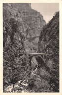 06-LES GORGES DU LOUP-N°4236-B/0165 - Sonstige & Ohne Zuordnung