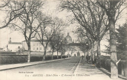 ANGERS : HOTEL DIEU - AVENUE DE L'HOTEL DIEU - Angers