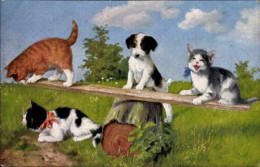CPA Drei Katzenkinder Spielen Mit Hund Auf Baumstamm - Autres & Non Classés