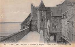 50-LE MONT SAINT MICHEL-N°4237-D/0051 - Le Mont Saint Michel