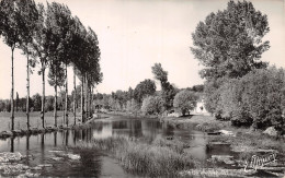 45-FONTENAY SUR LOING-N°4237-B/0061 - Autres & Non Classés