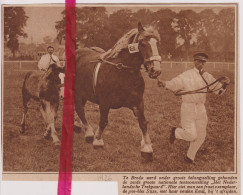 Breda - Expo Het Nederlandse Trekpaard - Paardenmarkt - Orig. Knipsel Coupure Tijdschrift Magazine - 1926 - Unclassified