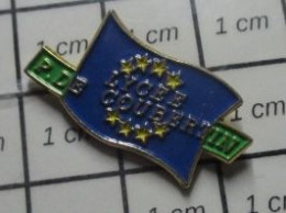 1310 Pin's Pins / Beau Et Rare / ADMINISTRATIONS / LYCEE PIERRE DE COUBERTIN DRAPEAU EUROPE - Amministrazioni