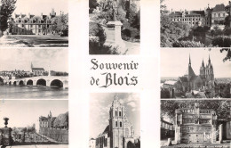 41-BLOIS-N°4238-A/0331 - Blois