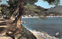 06-ROQUEBRUNE CAP MARTIN-N°4238-E/0065 - Roquebrune-Cap-Martin