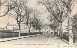 ANGERS : HOTEL DIEU - L'AVENUE DE L'HOTEL DIEU - Angers