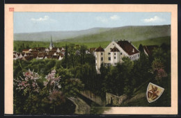 AK Mühlhausen A. Enz, Blick Auf Das Schloss  - Sonstige & Ohne Zuordnung