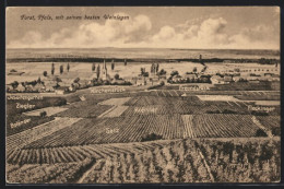 AK Forst, Blick Auf Die Besten Weinlagen  - Vignes