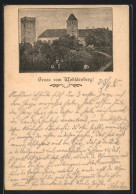 Vorläufer-AK Wohldenberg, 1895, Turm Und Schloss  - Other & Unclassified