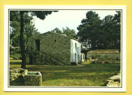 17 Ile D ' Oléron Maison Typique Avec Son Escalier - Ile D'Oléron