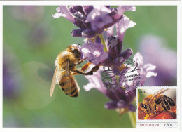 MOLDOVA 2024 Apiculture.World Bees Day.SC.Maxicrd - Bienen
