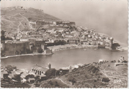 COLLIOURE (66) Vue Panoramique Sur La Rade , L'Eglise Et Le Château  CPSM GF - Collioure