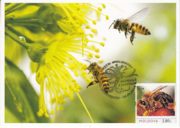 MOLDOVA 2024 Apiculture.World Bees Day.SC.Maxicrd - Api