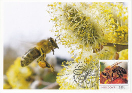 MOLDOVA 2024 Apiculture.World Bees Day.SC.Maxicrd - Bienen