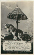 Cpa Chatons - With Love And Best Wishes - Chats